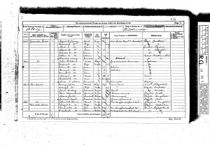 Read 1871 census p1